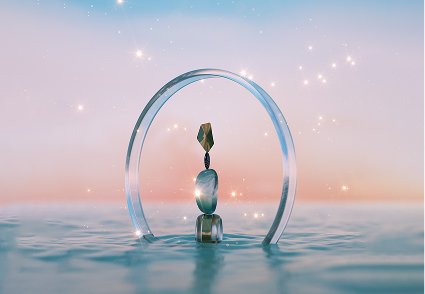 award_work_designrush