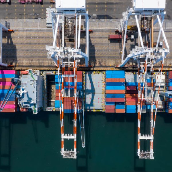 8a9f113c-2520-4bab-999b-0b25293fbd01