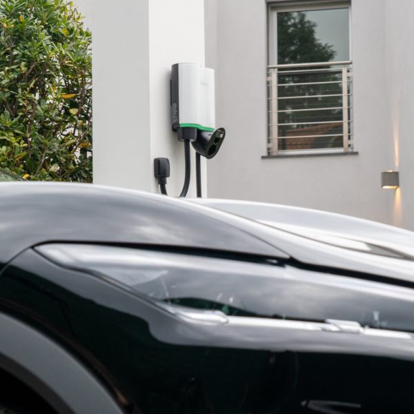 volchar - top_banner